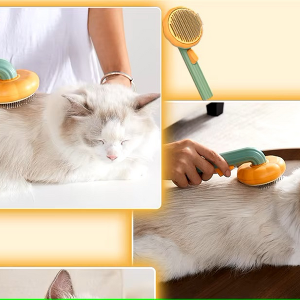 Brosse de toilettage pour chat avec bouton Auto-nettoyant