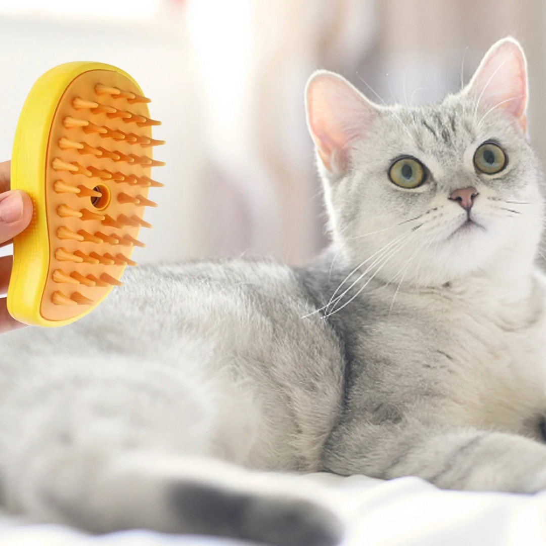 Brosse à Vapeur de toilettage pour Chat