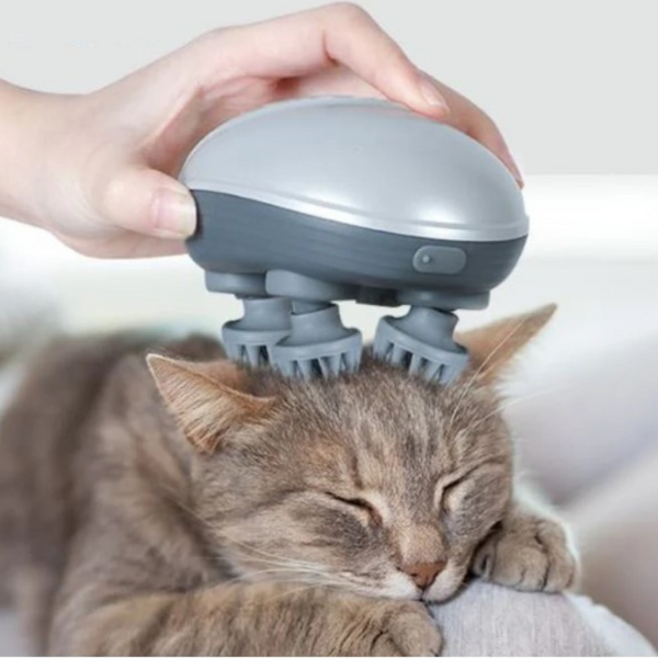 Masseur Electrique  pour Chat