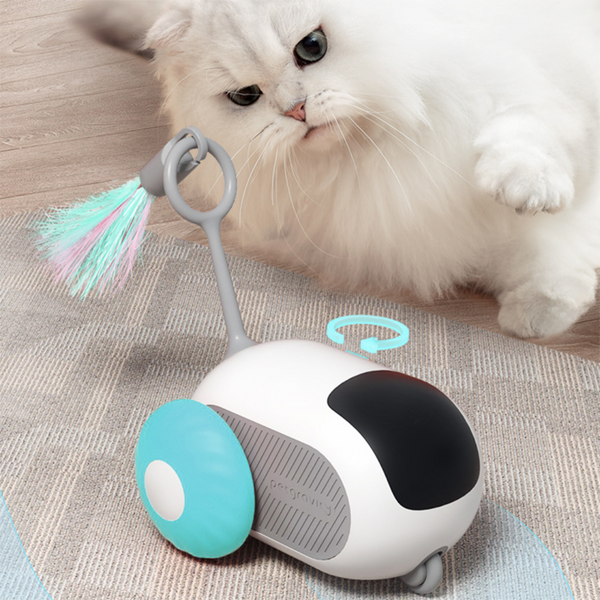 Jouet Interactif pour Chat avec télécommande