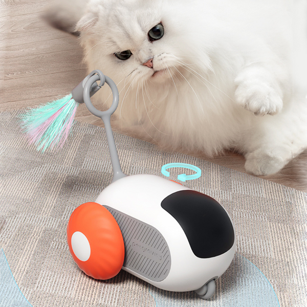 Jouet Interactif pour Chat avec télécommande